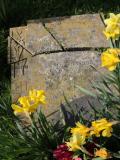 image of grave number 51174